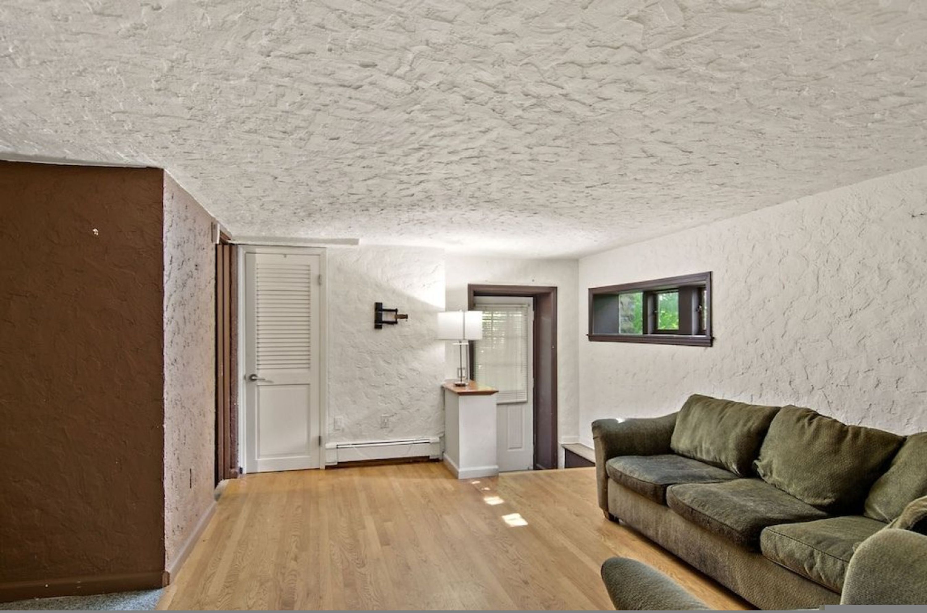 Una habitación con suelo de madera, sofá verde, puerta blanca y techo con textura.