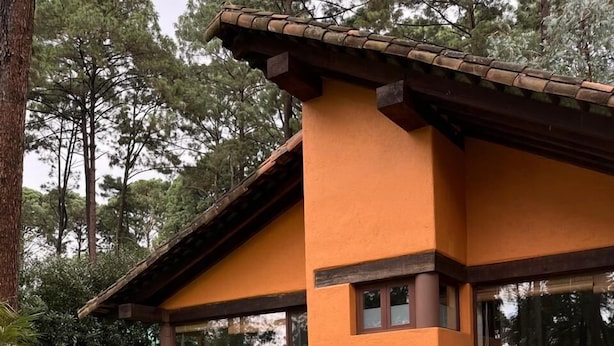 Uma casa com piscina, um sofá azul e um jardim.