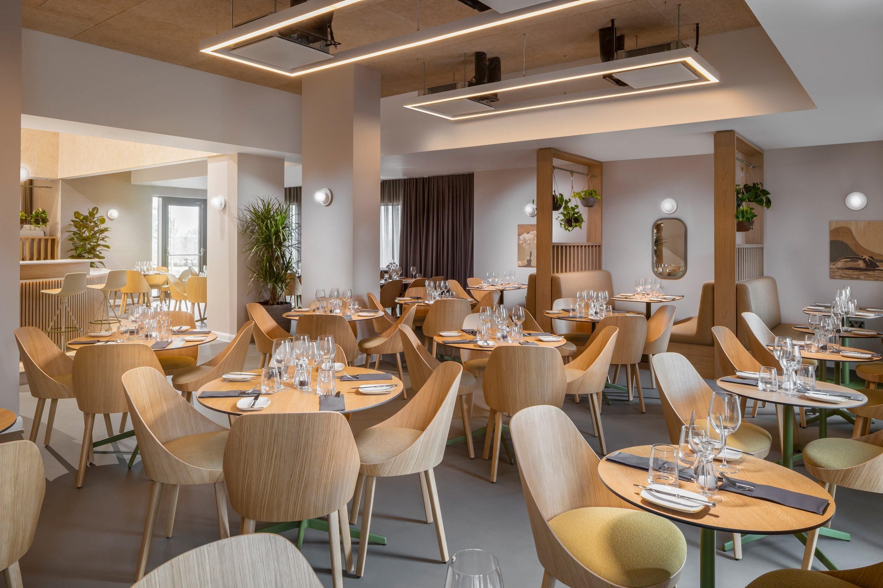 A modern restaurant with round tables and chairs, ambient lighting, and indoor plants.
