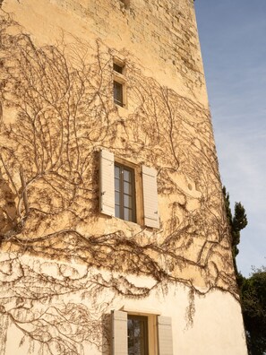 Detalle exterior