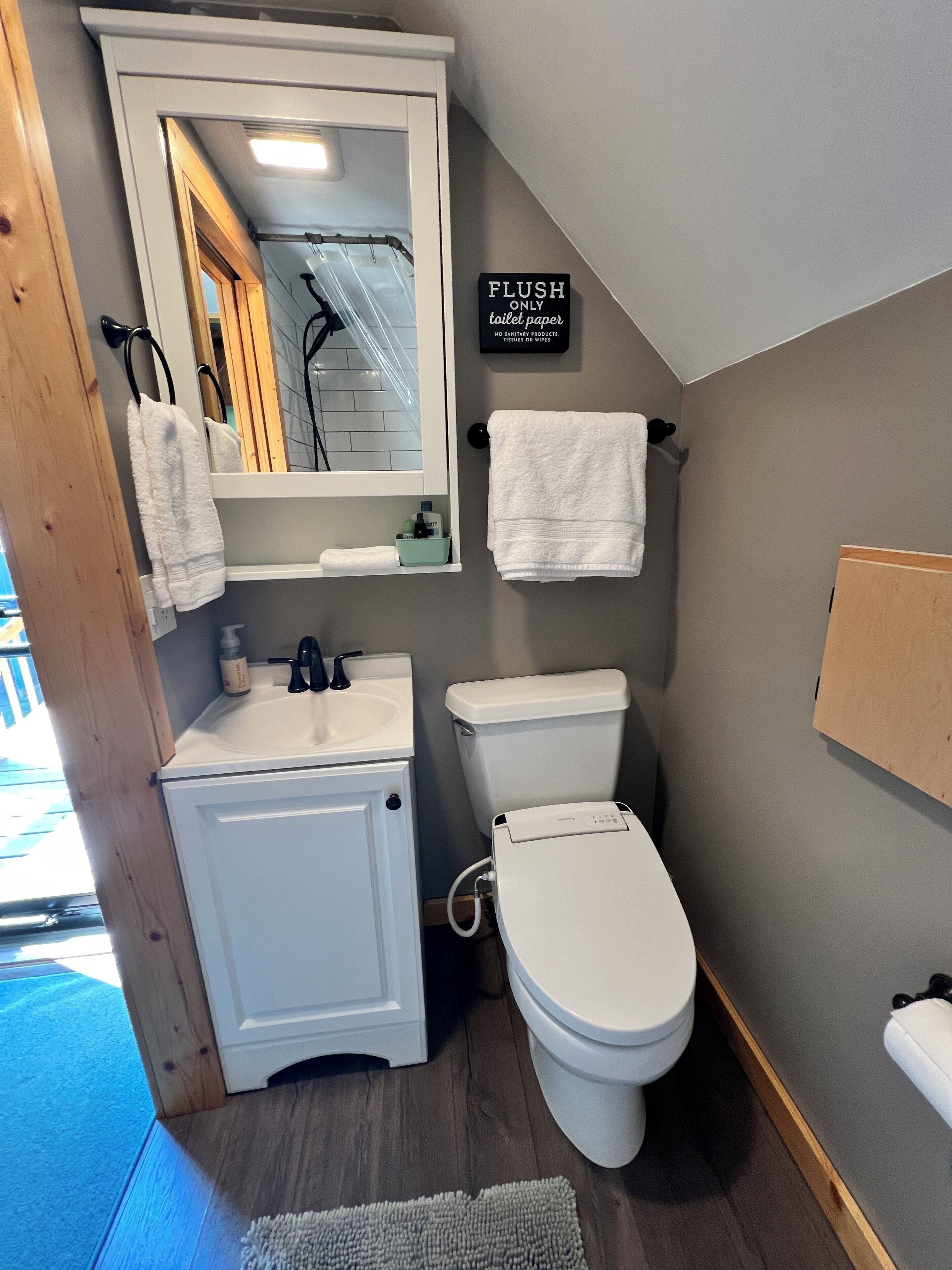 Dutxa, assecador de cabells, bidet i tovalloles 