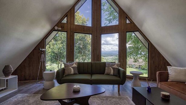 A cozy, modern living room with a large green sofa, a coffee table, and a view of a lush garden through large windows. - 4BR/3BA Cabin w/ Games & Hot Tub, Near Smoky Mtns (Kodak)