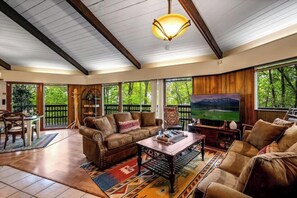 TV, fireplace, foosball