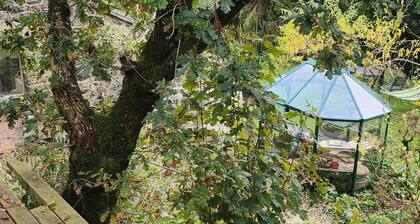 Beautiful Dartmoor cabin reasonable rent