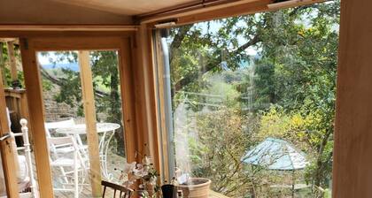 Beautiful Dartmoor cabin reasonable rent