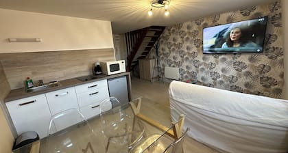 Magnifique Duplex tout Confort au CĆur du Centre Ville