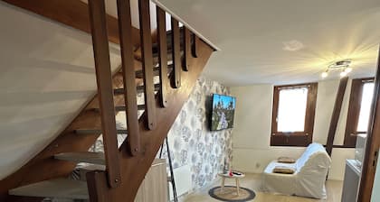 Magnifique Duplex tout Confort au CĆur du Centre Ville