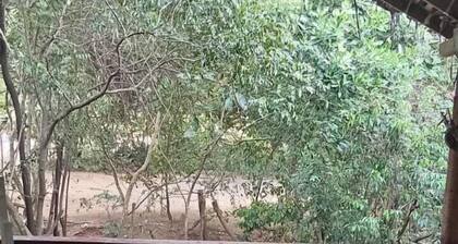 Hidden Jungle Village Wilpattu