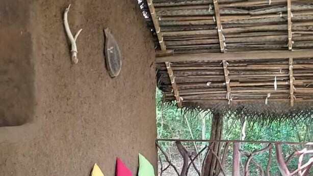 A covered outdoor area with a green floor, a low wall with colorful cushions, and a bamboo ceiling structure. - Hidden Jungle Village Wilpattu (Anuradhapura)