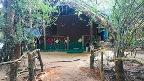 A rustic building with a dirt path leading to it, surrounded by trees. - Hidden Jungle Village Wilpattu (Anuradhapura)