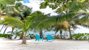 Une plage bordée de palmiers et dotée de chaises de couleur turquoise.