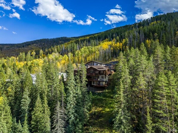 A lodge surrounded by dense forest with a clear sky.