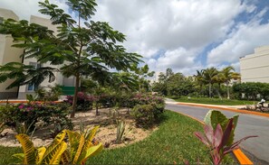 Stroll through the beautifully landscaped gardens, featuring a variety of plants and a paved walkway for easy access.