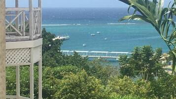 Beach/ocean view