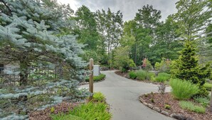 Un camí que travessa una zona enjardinada amb diferents arbres i arbustos.