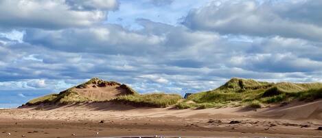 Sun-loungers, beach towels