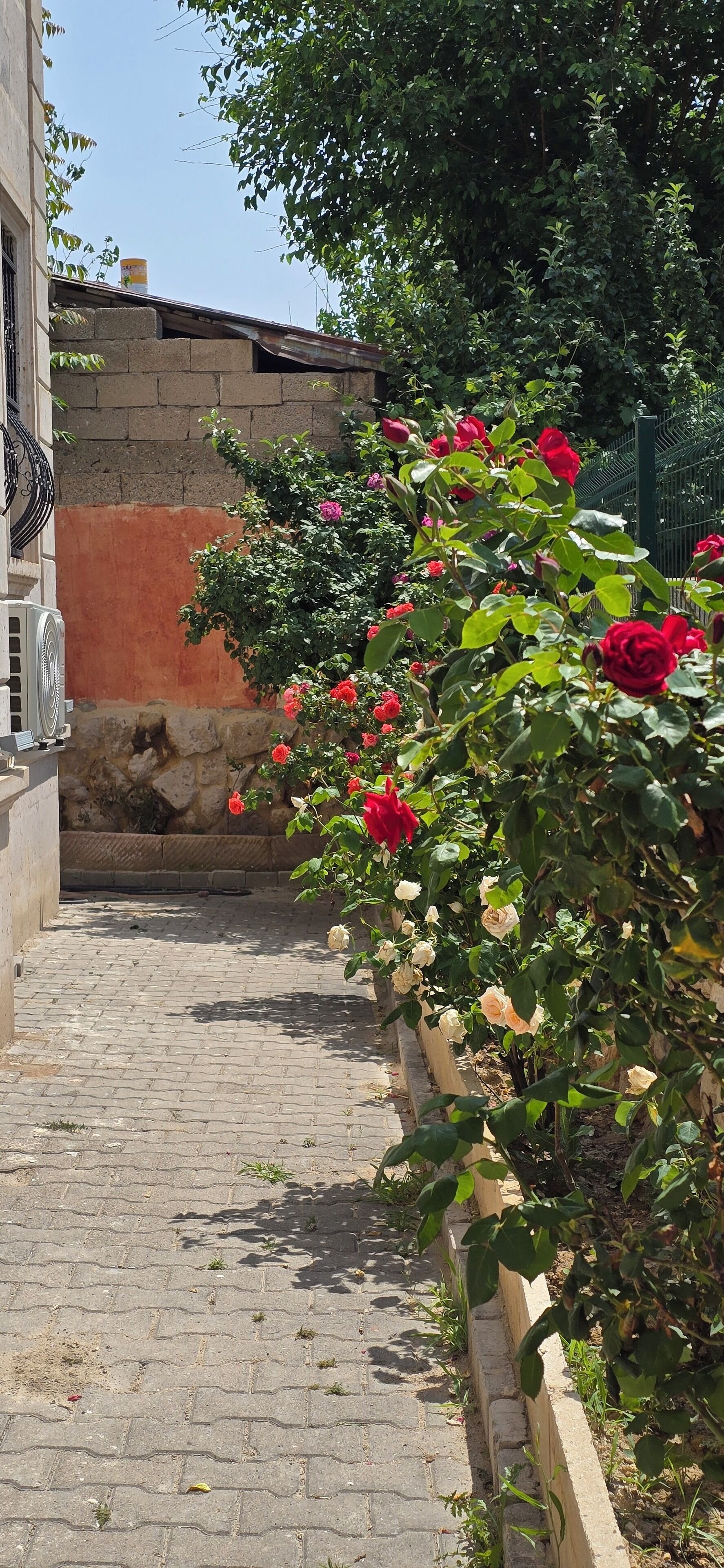 Foto - Cappadocia Divin House
