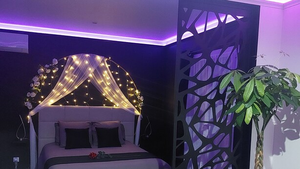 Un dormitorio con cama, un dosel decorativo, una planta en maceta y un separador negro.