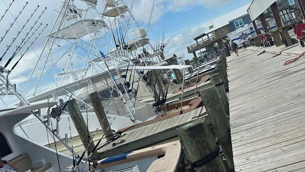 A marina with multiple sailboats docked.