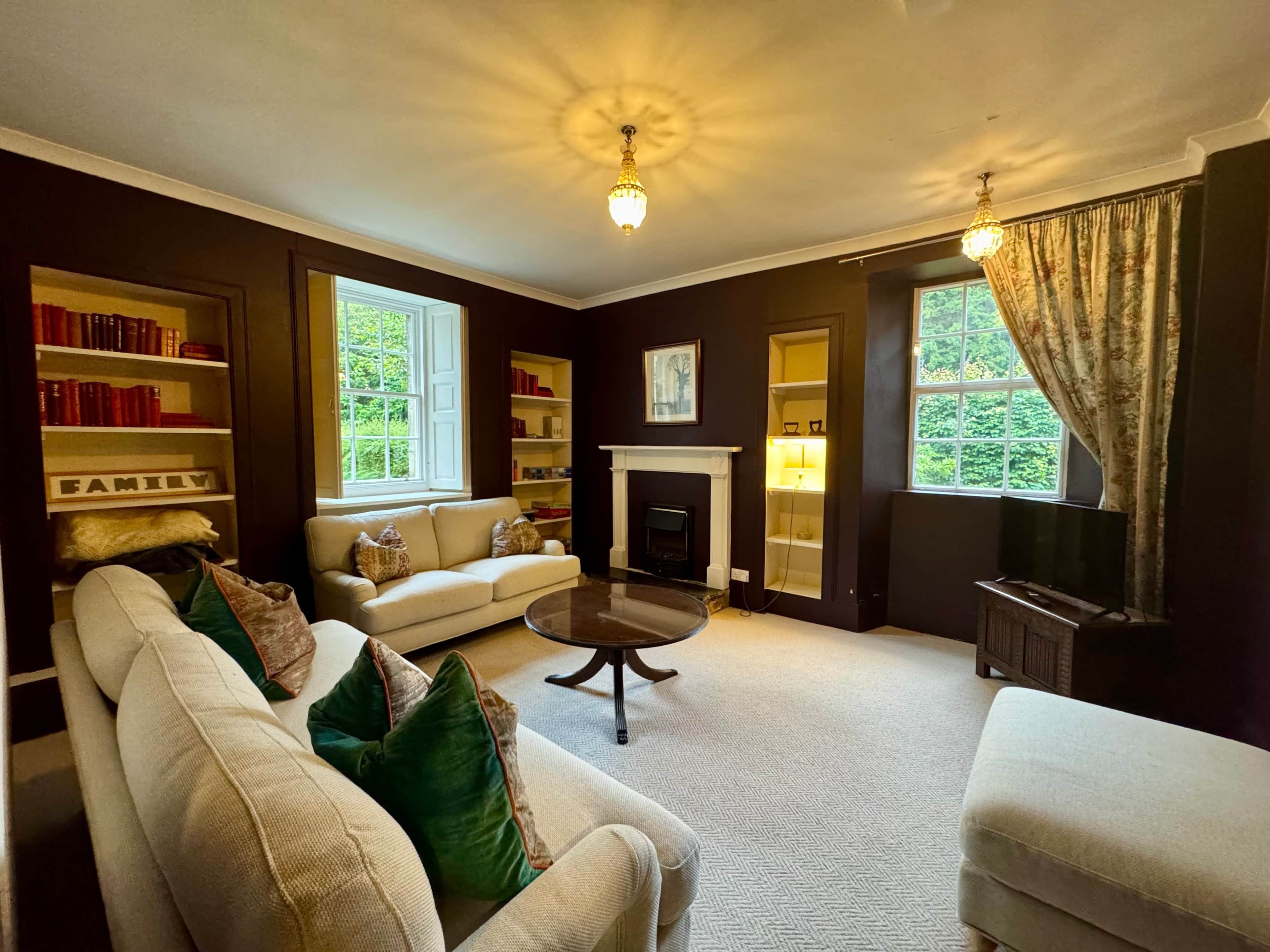 Smart TV, fireplace, video games, books