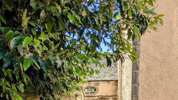Exterior detail - Charming 1700s Country Cottage on a Private Estate (Stirling)