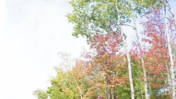 Terrain de l’hébergement