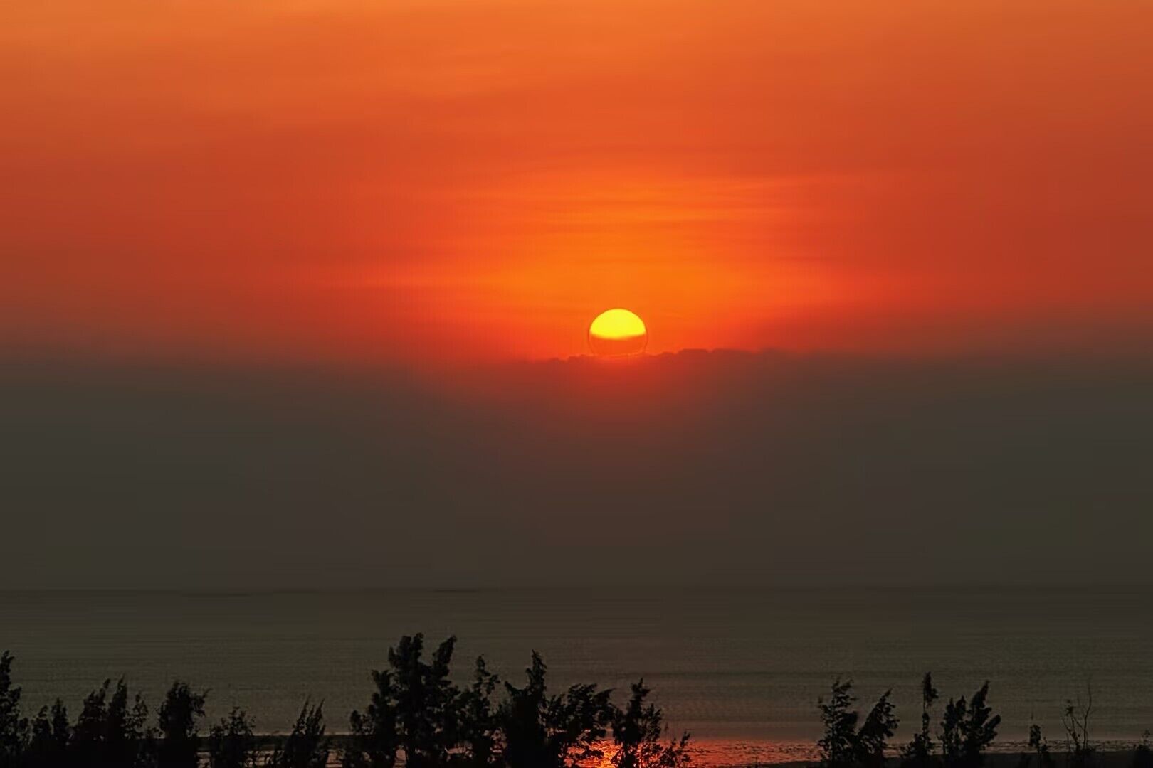Ein Sonnenuntergang über dem Meer mit Baum-Silhouetten im Vordergrund.