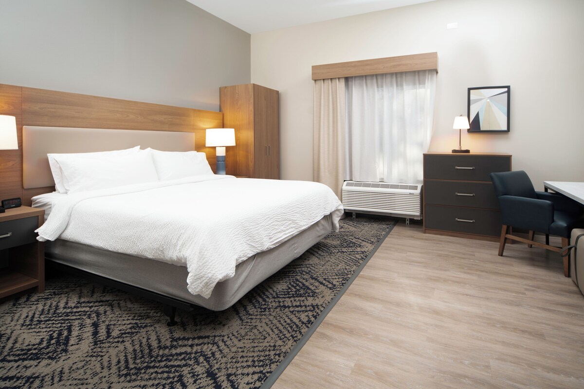 Suite estudio, 1 cama de matrimonio grande, ducha adaptada (Mobility) | Wifi gratis