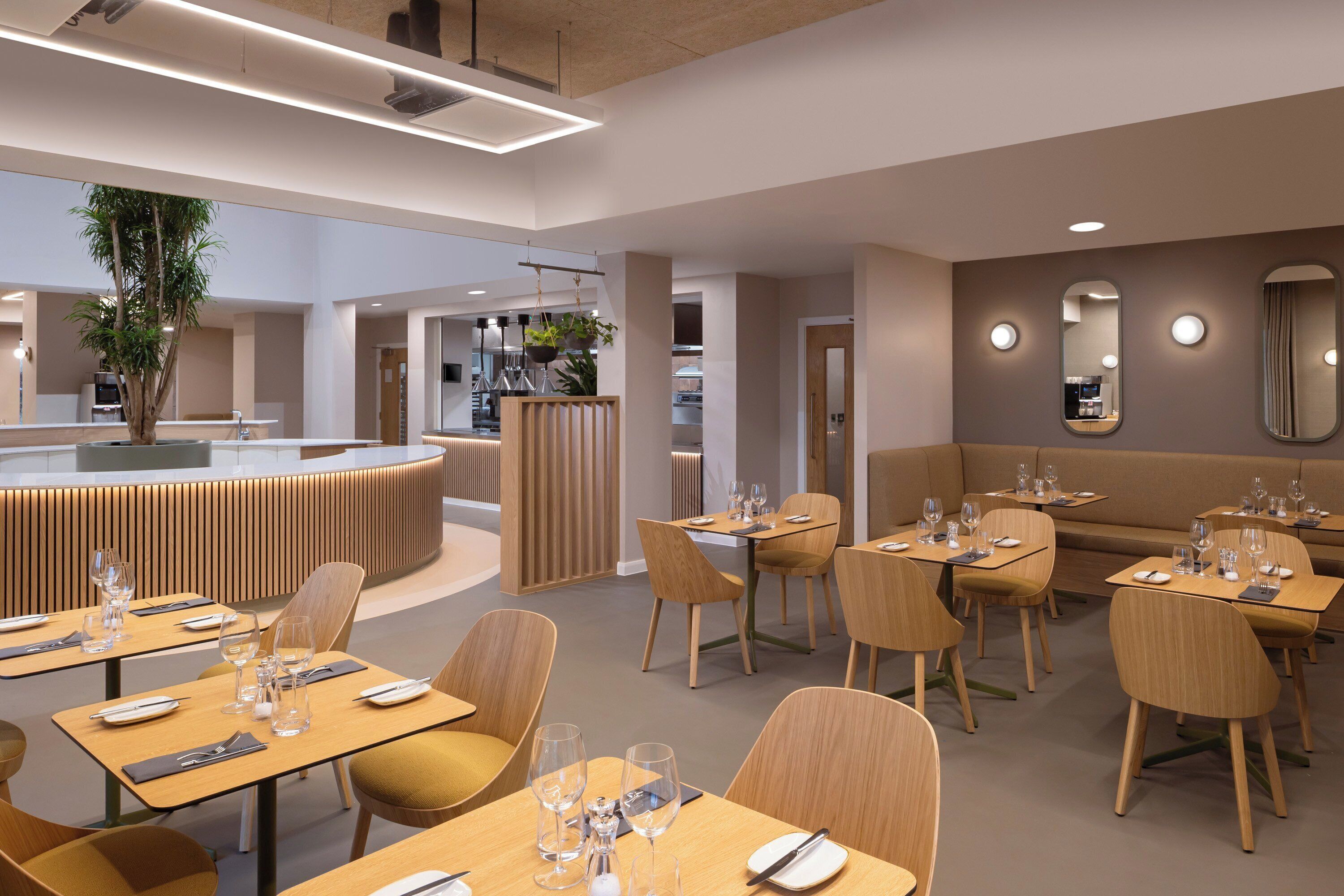 L'intérieur d'un restaurant moderne, avec des tables et des chaises en bois, un bar central et une grande plante en pot.