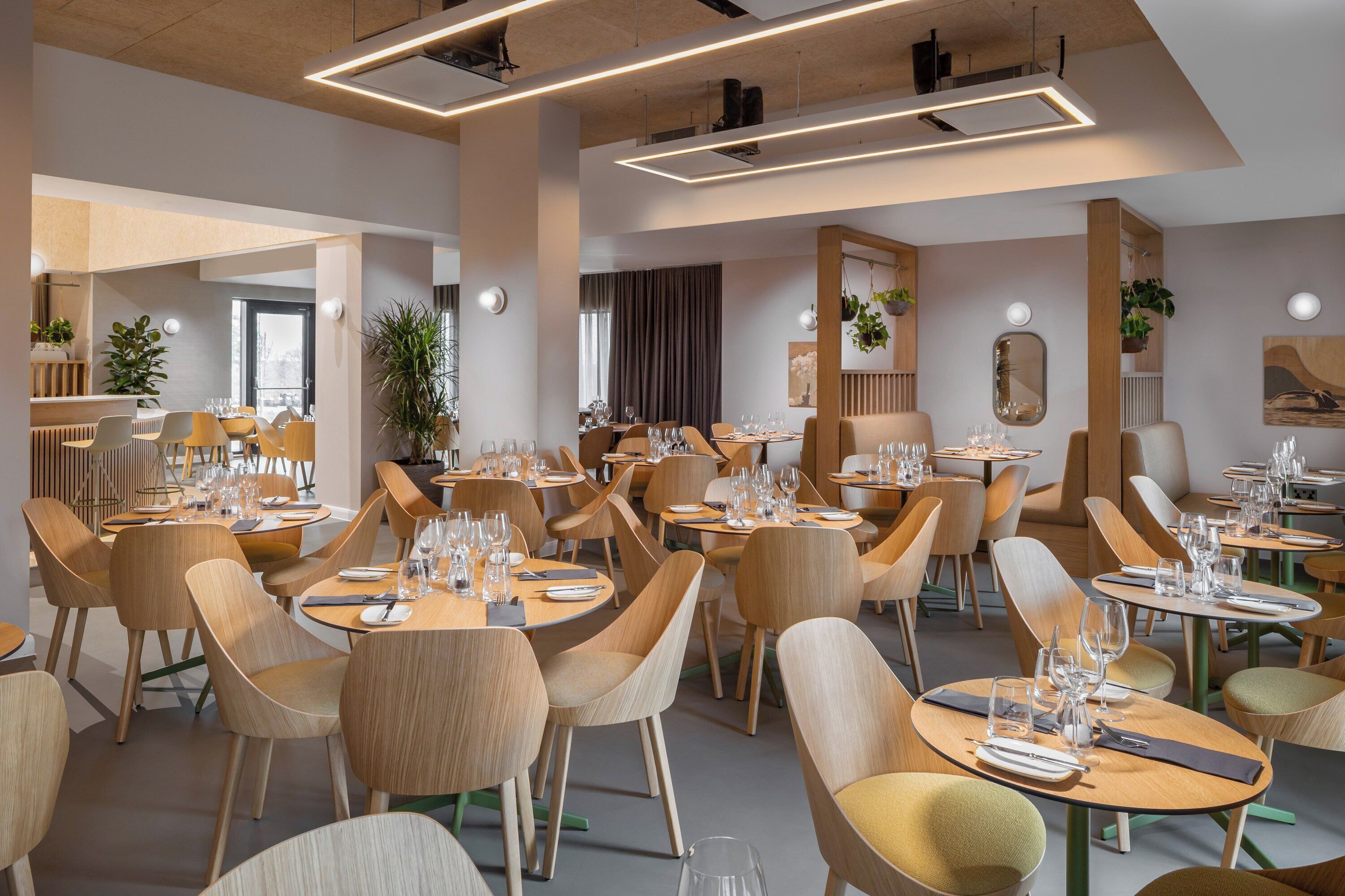 A modern restaurant with round tables and wooden chairs, featuring a clean and contemporary design.