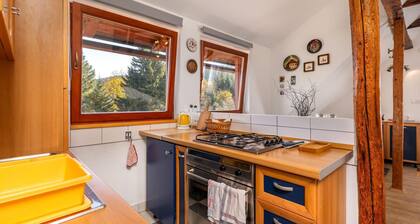 Cozy apartment in Ravna Gora with WiFi