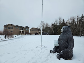 Snowshoeing