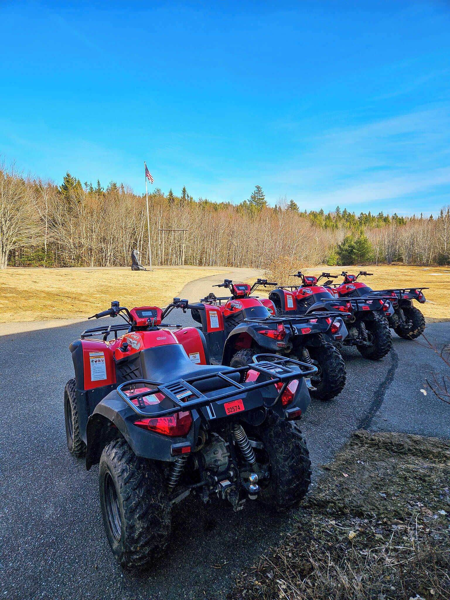 A row of red ATVs parked on a road with a forest in the background.