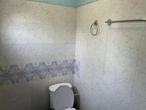 Assecador de cabells, tovalloles, sabó i paper higiènic 