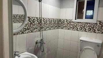 Hair dryer, towels, soap, toilet paper