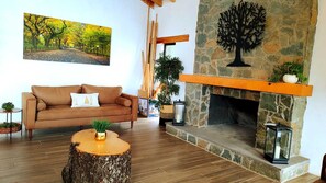 Smart TV, fireplace, ping pong, books