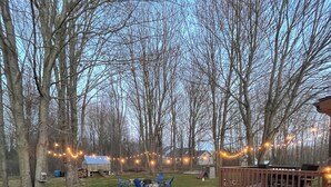 Un'area verde con alberi, un pontile in legno e luci decorative.