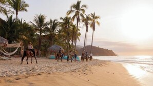 A beach with horses and riders, palm trees, and a thatched-roof structure.