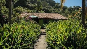 A pathway leading to a building with a tiled roof, surrounded by lush greenery and palm trees.