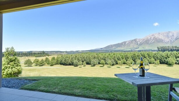 Una mesa con una botella y un vaso en un patio con vistas a un viñedo y montañas.
