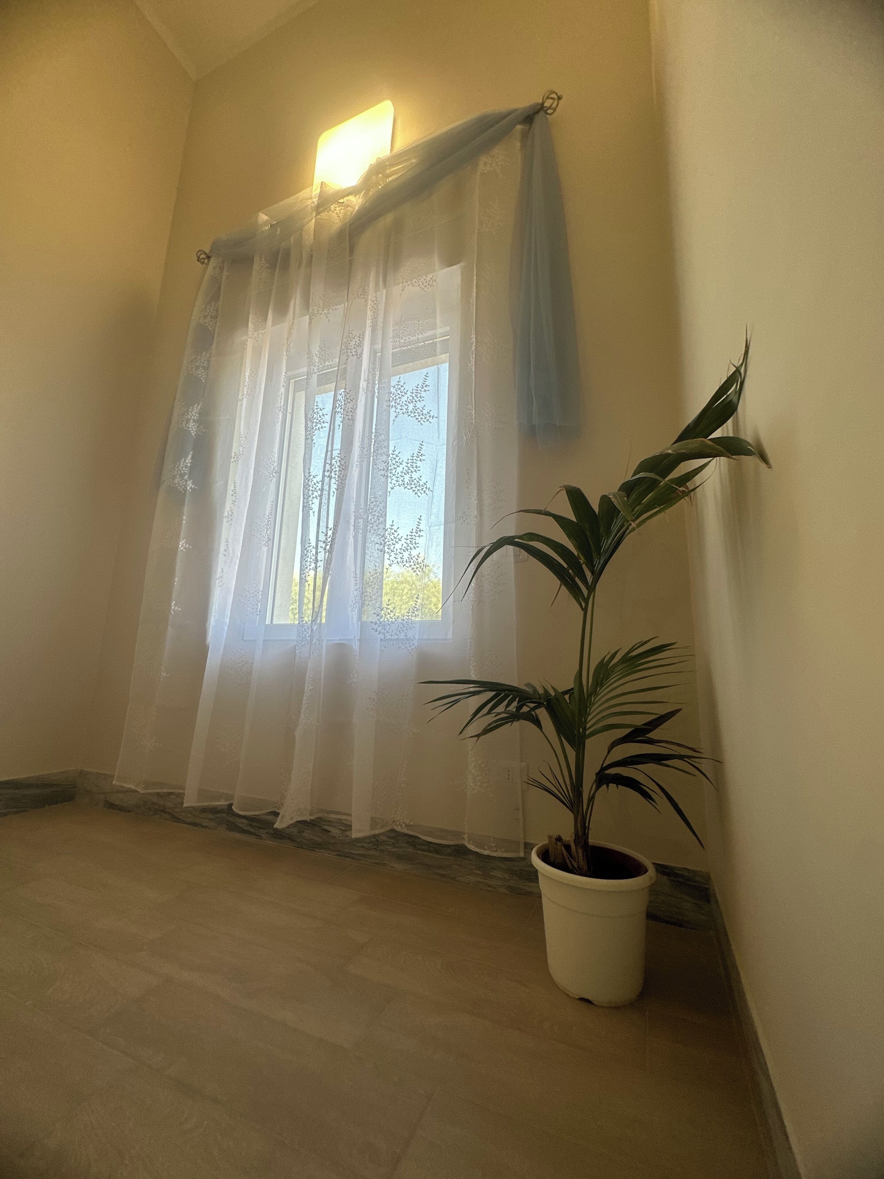 Ein Zimmer mit einem großen Fenster, das mit durchsichtigen Vorhängen verziert ist, einer Zimmerpflanze und einer Wandleuchte.