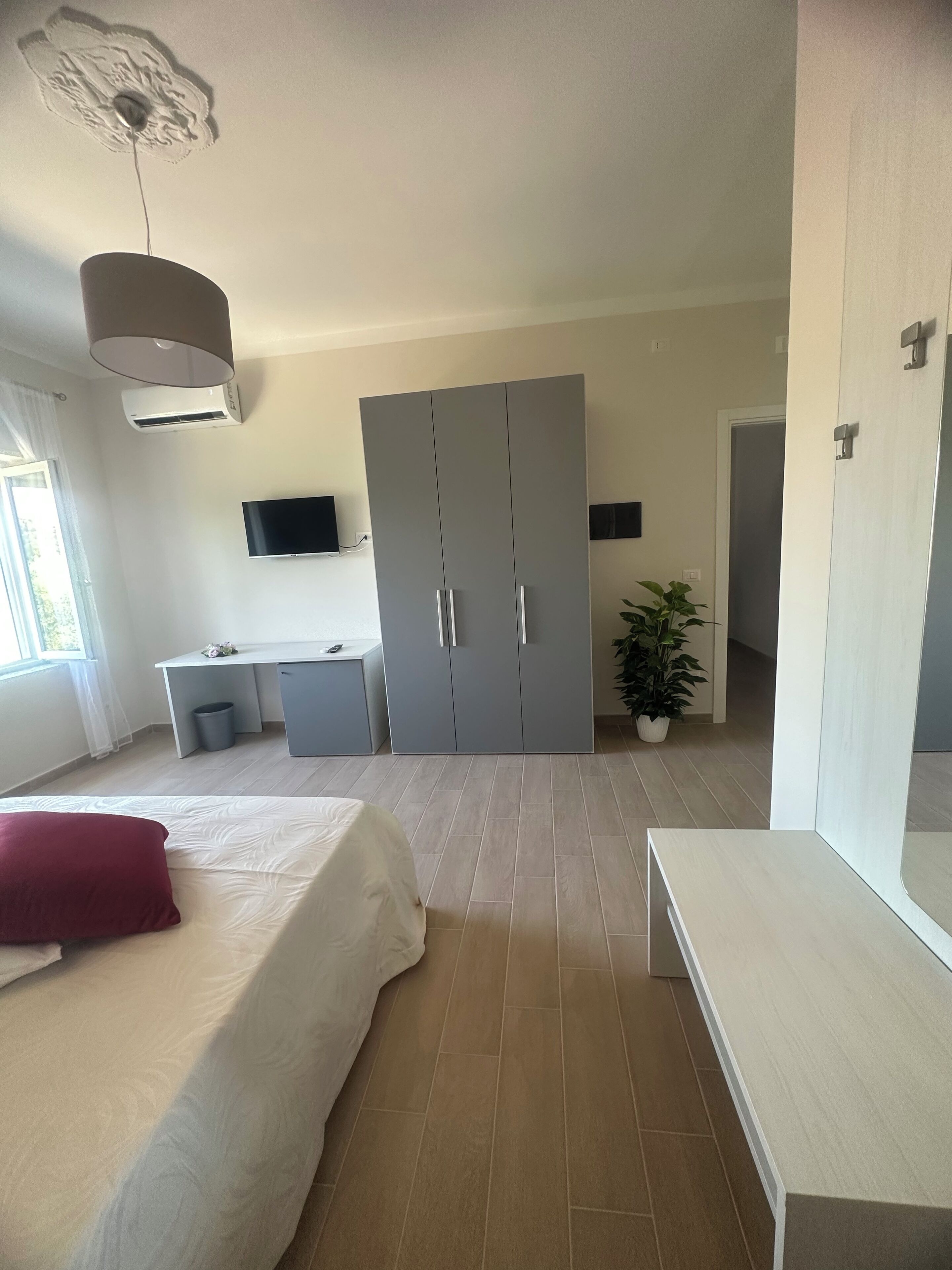 Une chambre à coucher avec un lit, un bureau, une armoire, une télévision et une plante en pot.