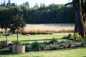 Jardines del alojamiento