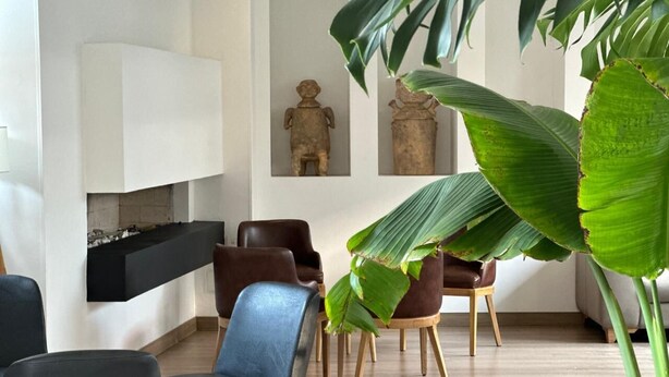 Una sala de estar moderna con chimenea, sillones de cuero, una mesa de comedor y plantas verdes grandes.