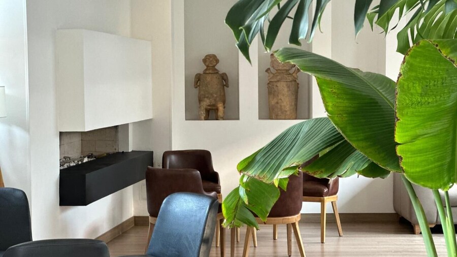 Hotel San Francisco de Asis