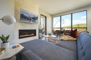 Smart TV, fireplace, DVD player, books