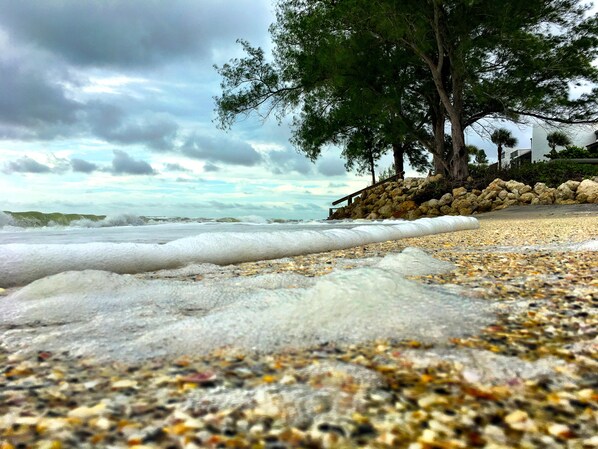 Sun-loungers, beach towels - Spacious home near W. Dearborn St. Heated pool. Minutes away from 2 beaches! (Englewood)