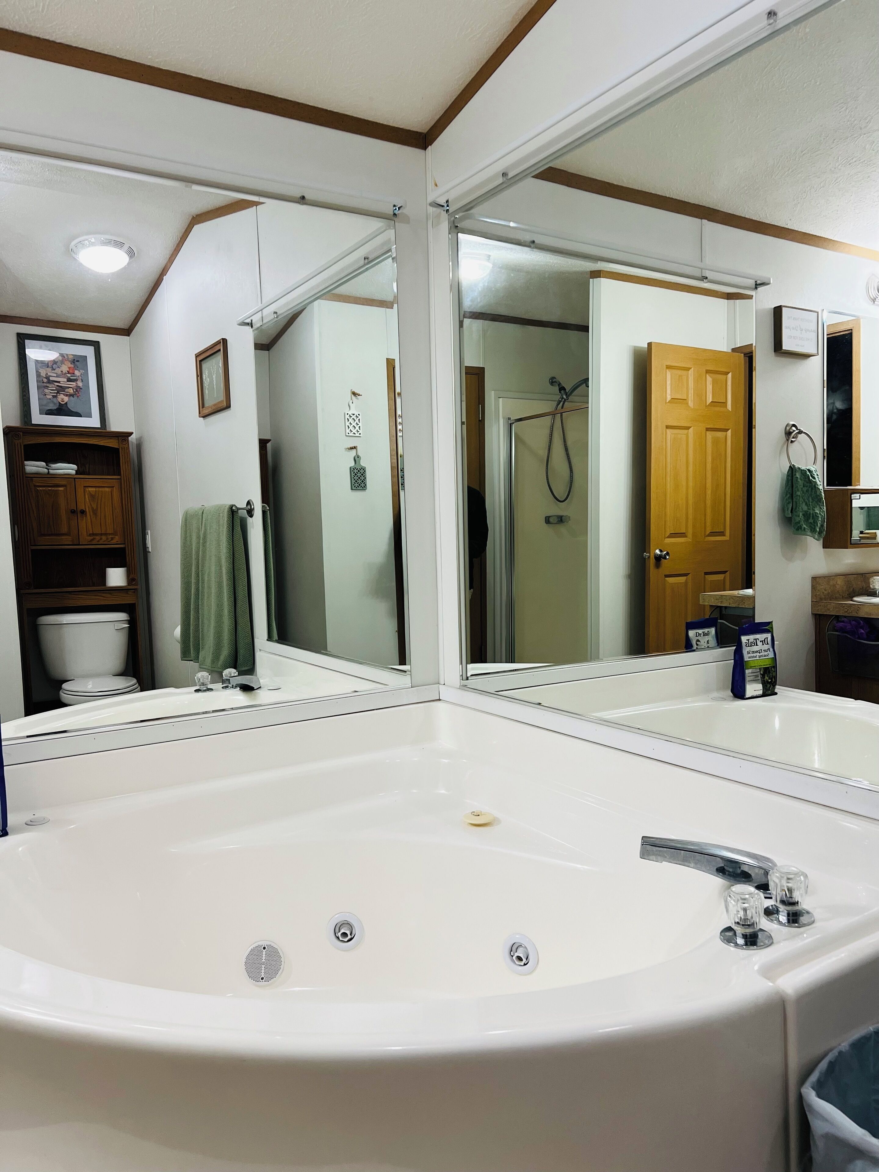 Shower, jetted bath, hair dryer, towels