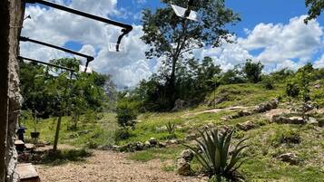 Shower, toilet paper