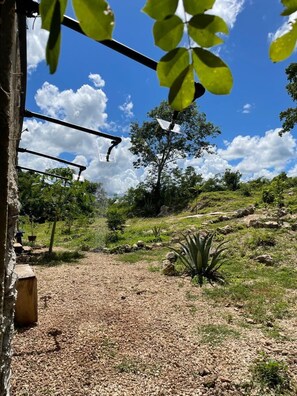 Shower, toilet paper - HOSTAL ORO VERDE HOMUN (Homún)